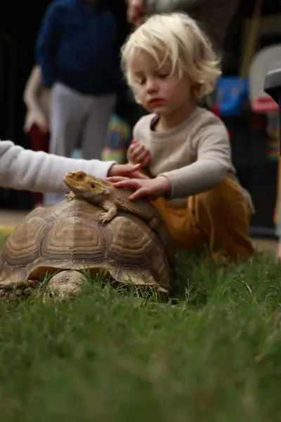 Child with a tortoise and lizard at a party