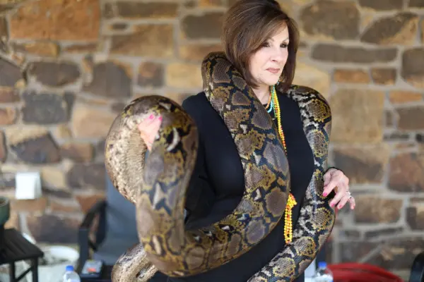 Woman holding a large snake at an event