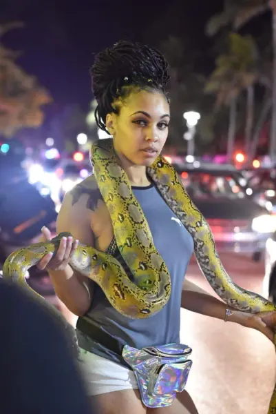 Woman with a large yellow snake at a Miami night encounter