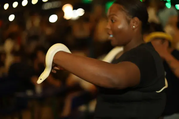 Woman at a night event holding a white snake