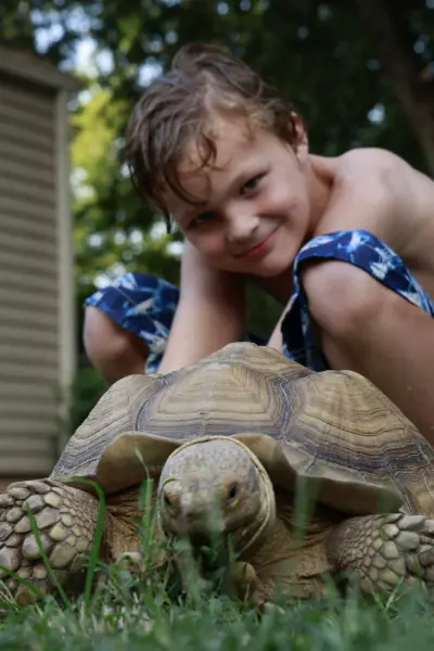 Boy with a large tortoise