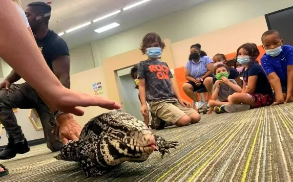 Children petting Zork the Tegu